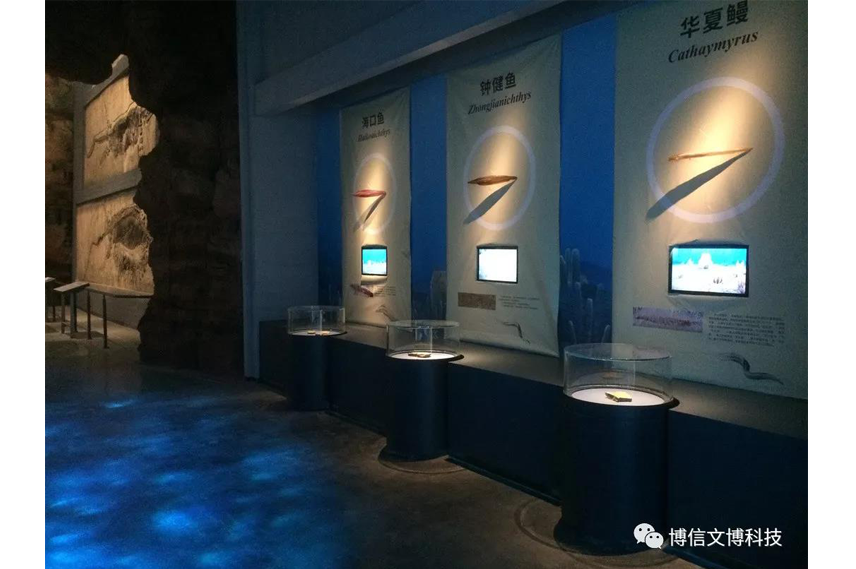 博物館展（zhǎn）櫃