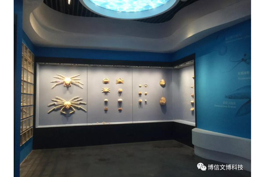 博（bó）物館通櫃