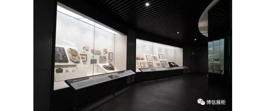 博物館（guǎn）展櫃