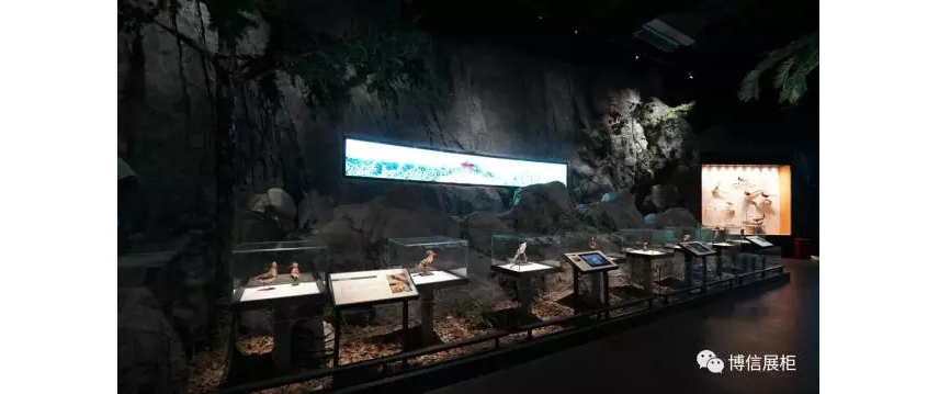 博物（wù）館展櫃